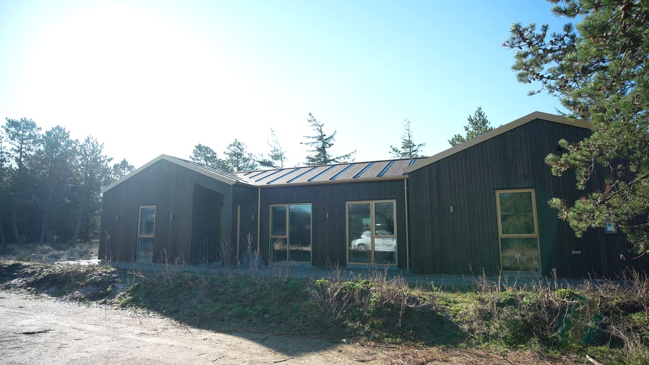 Sort sommerhus mellem fyrretræer