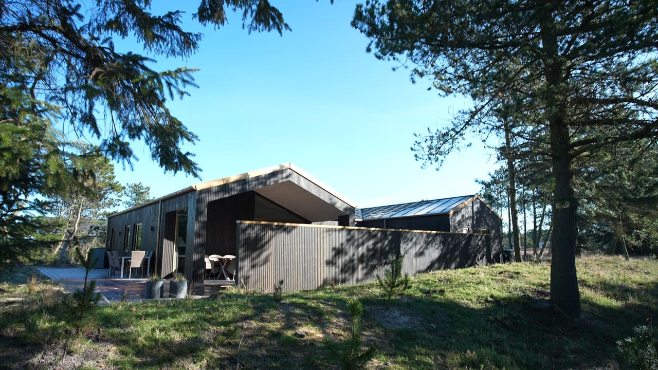 Sommerhus mellem fyrretræer